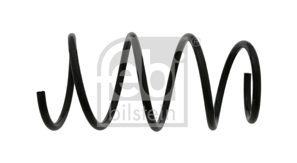 Suspension Spring